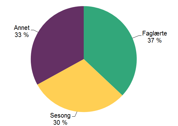 Kakediagram som viser fordelingen av typer arbeidstillatelser. Faglærte (37 %), Sesong (30 %), Annet (33 %)